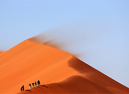 专业版软件工具的轰炸手机号信息软件免费版