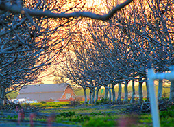 网页短信轰炸机