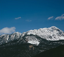 网页短信轰炸机